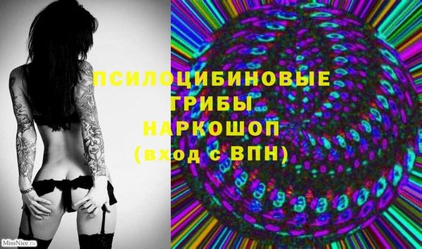 ПСИЛОЦИБИНОВЫЕ ГРИБЫ Лиски