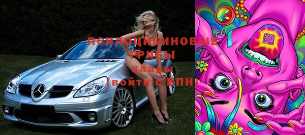 ПСИЛОЦИБИНОВЫЕ ГРИБЫ Лиски
