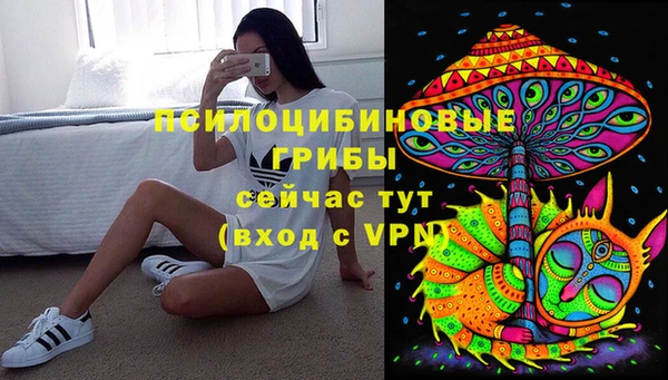 ПСИЛОЦИБИНОВЫЕ ГРИБЫ Лиски